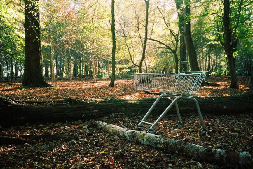 On Passing Helloes and Oak Trees – EcoTheo Review